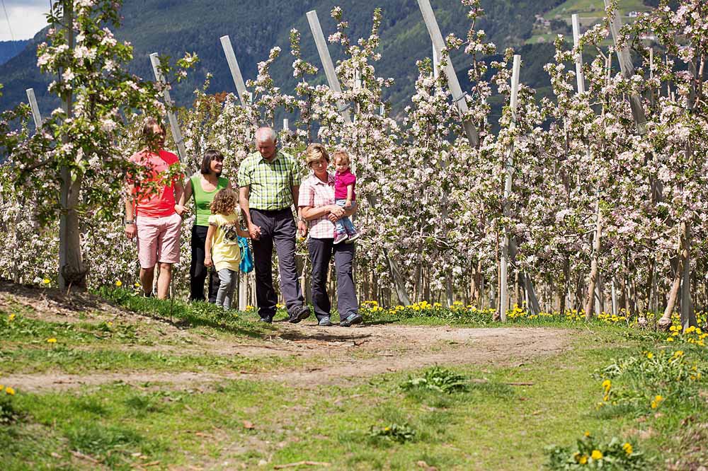 In der Ferienpension in Südtirol macht jede Generation Urlaub